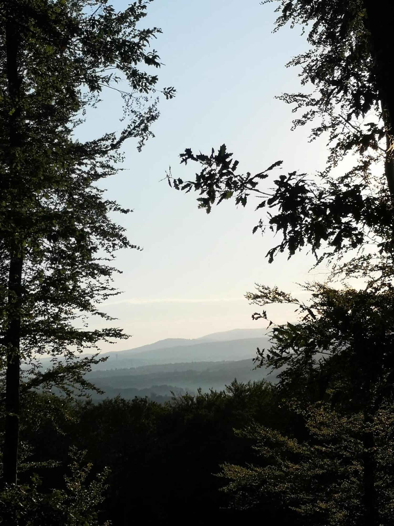 Blue Forest Retreat Апартаменты *