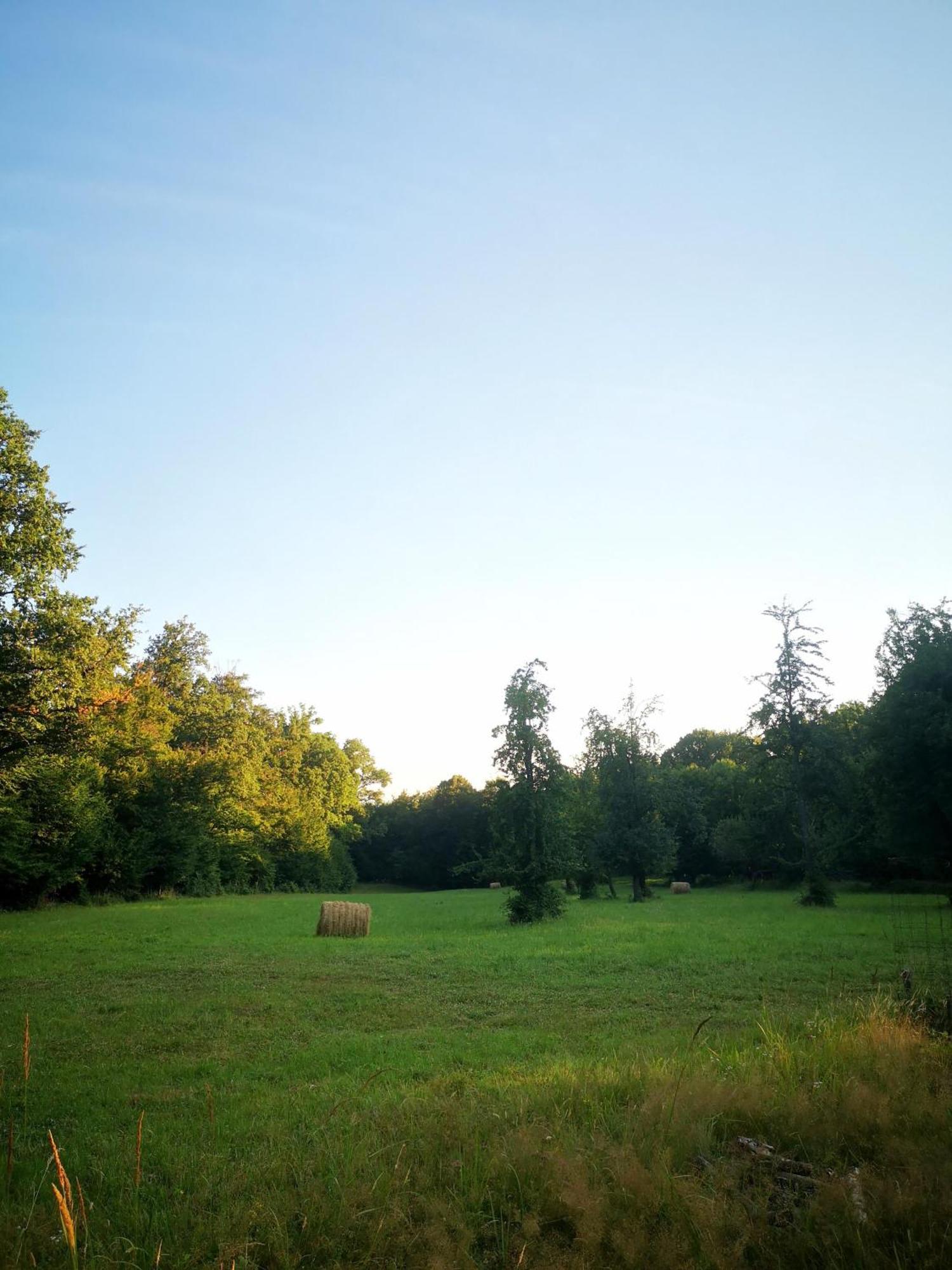 Blue Forest Retreat Manfa