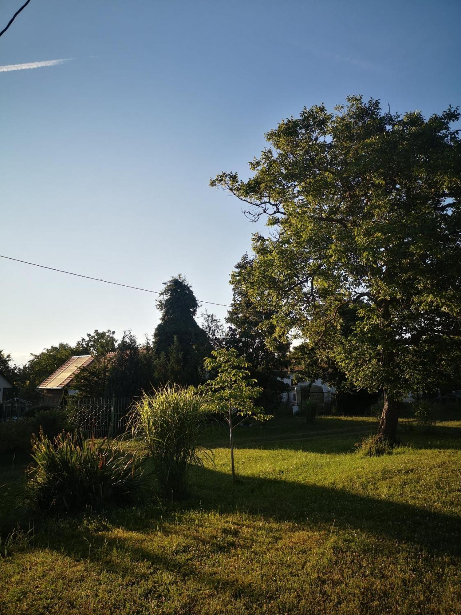 Blue Forest Retreat Apartment Manfa