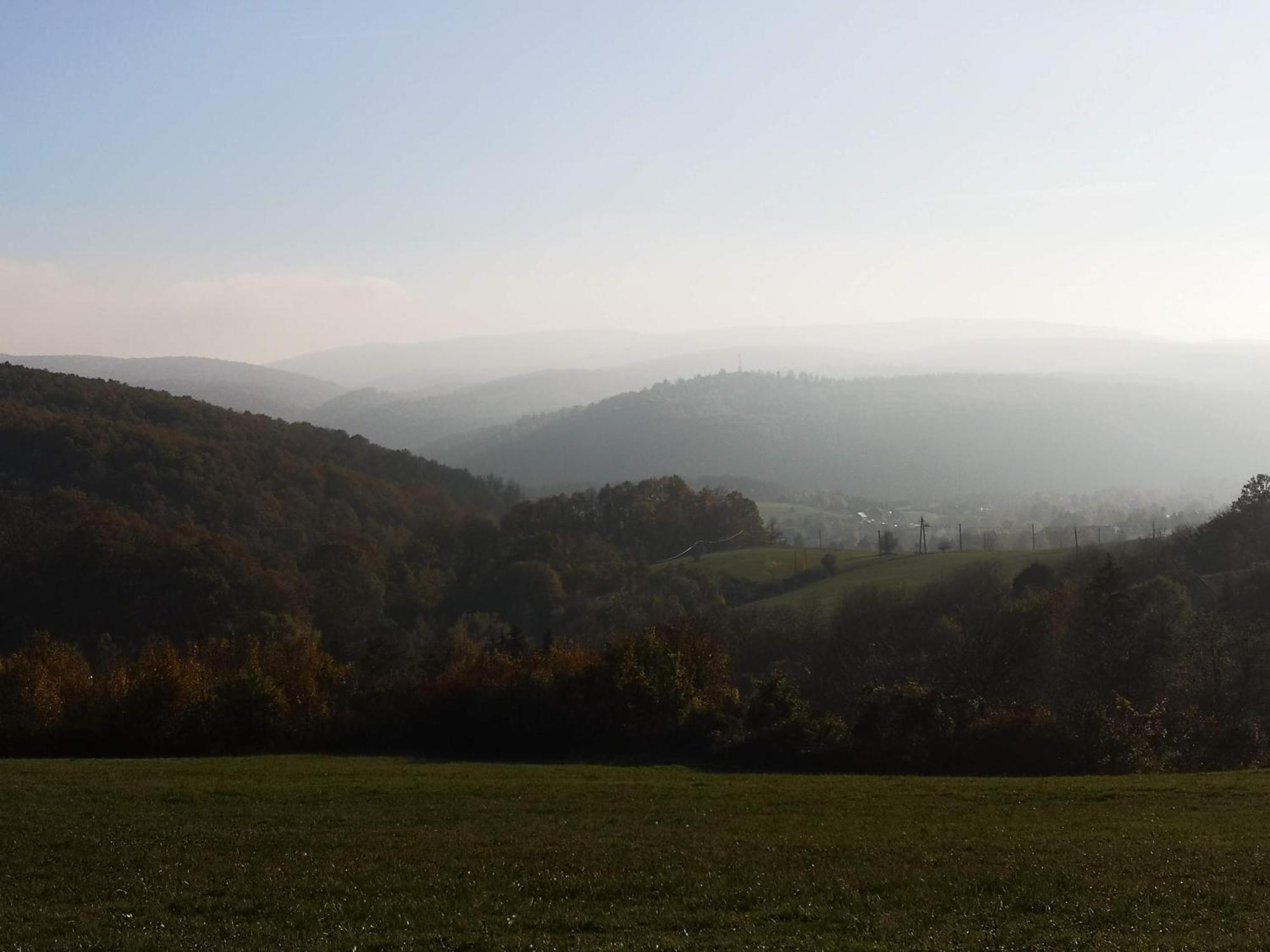 Apartment Blue Forest Retreat Manfa