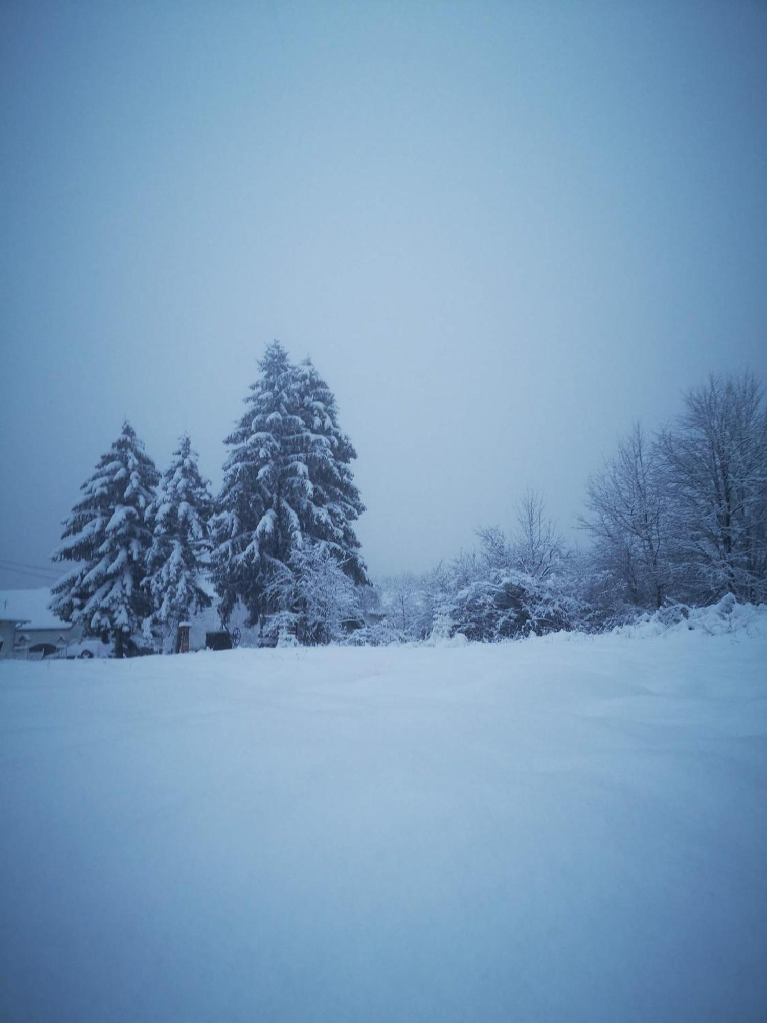 Blue Forest Retreat * Manfa