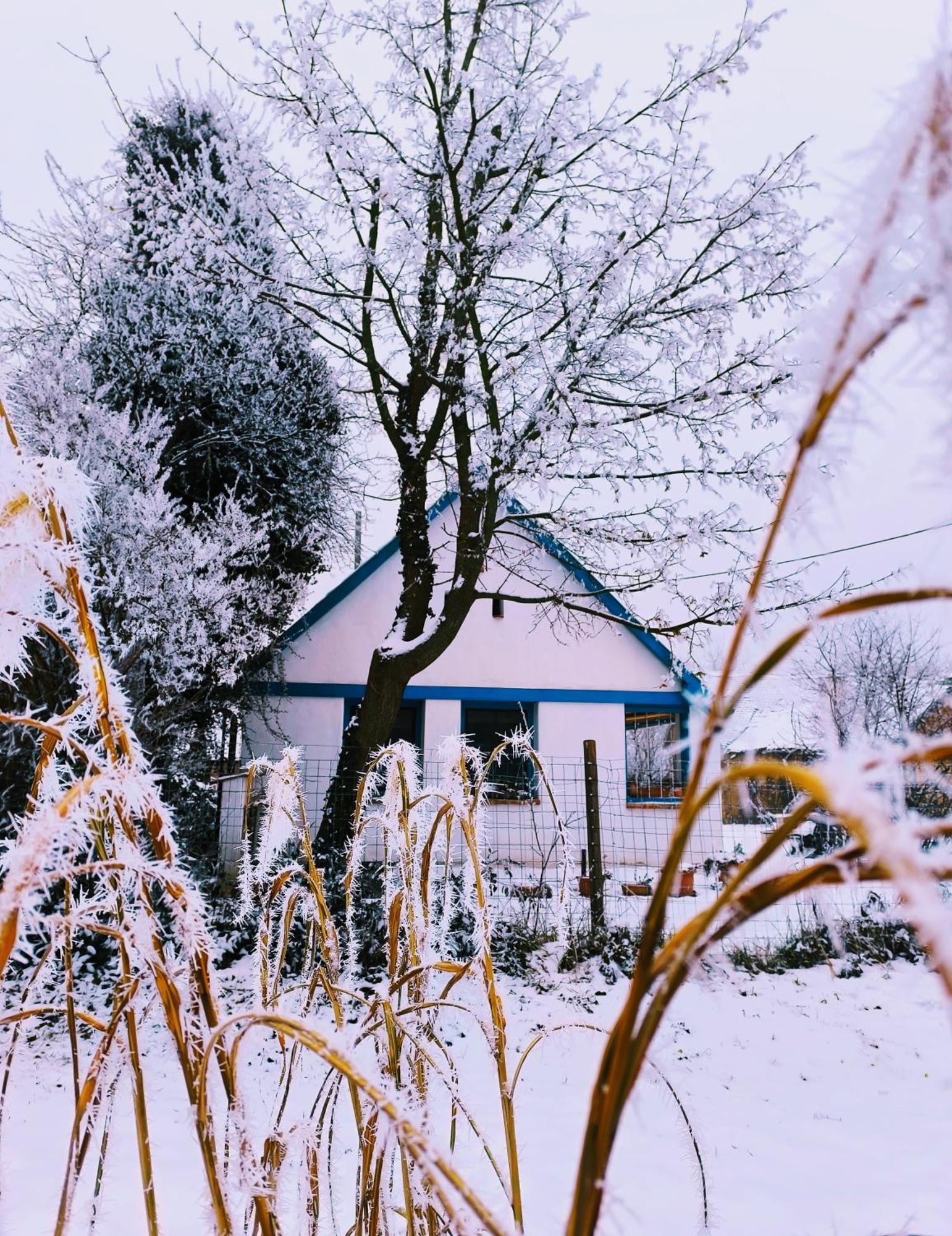 Апартаменты Blue Forest Retreat