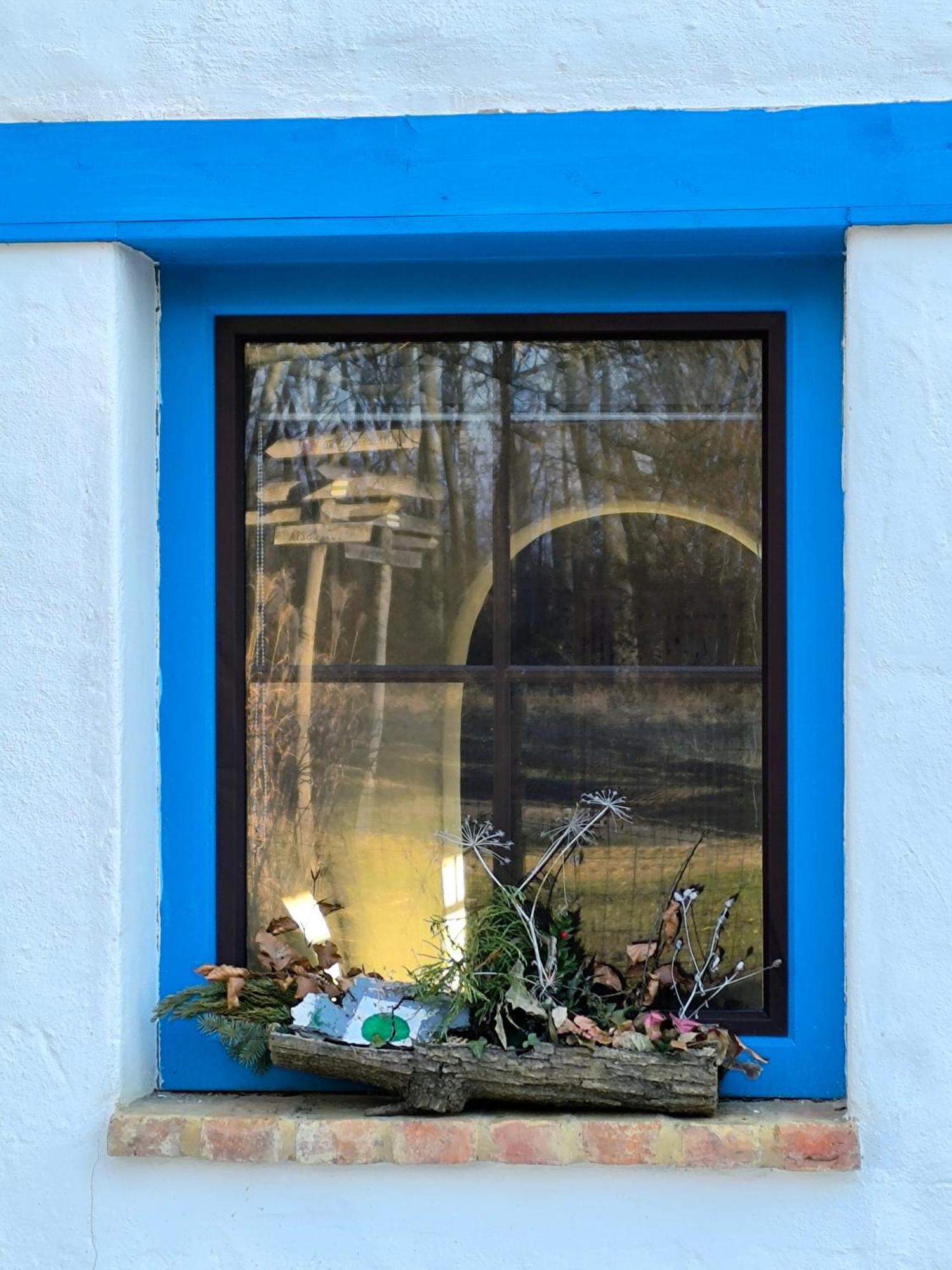 Blue Forest Retreat * Manfa