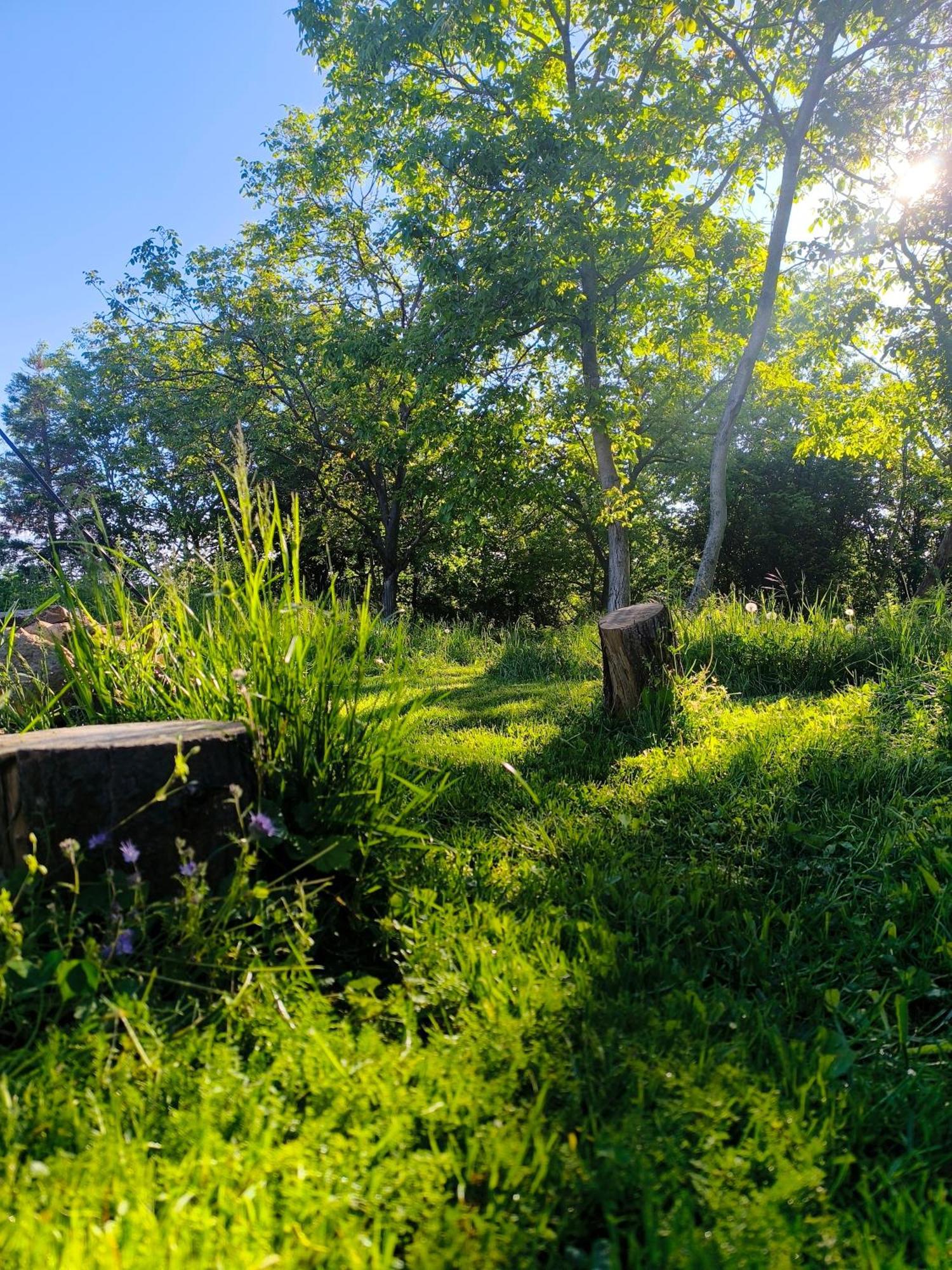 Blue Forest Retreat Апартаменты *