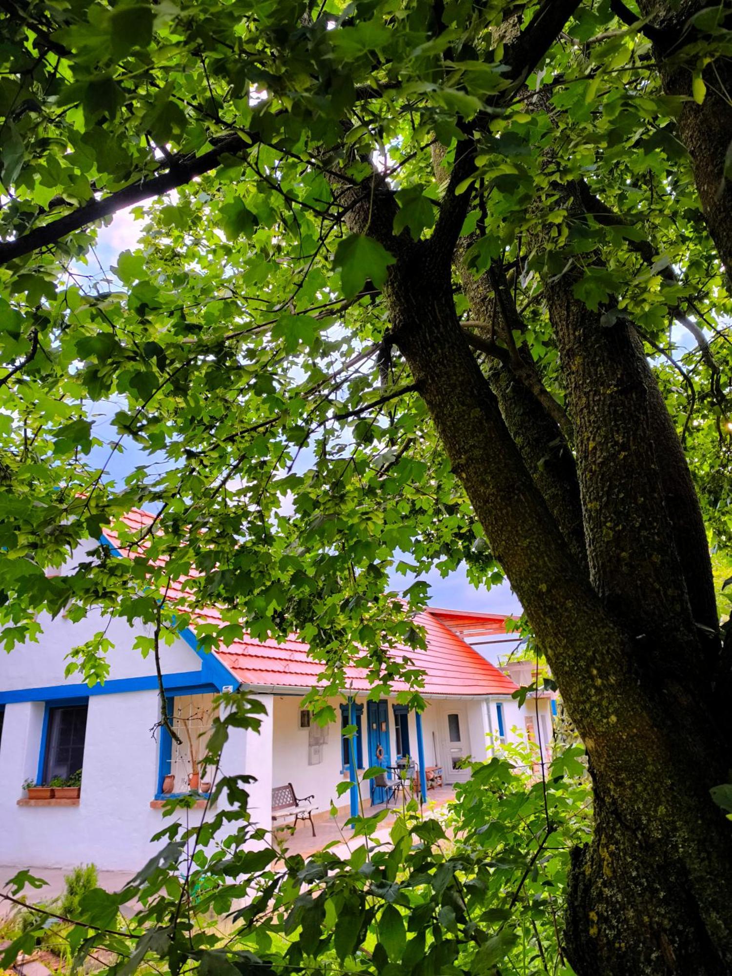 Апартаменты Blue Forest Retreat *